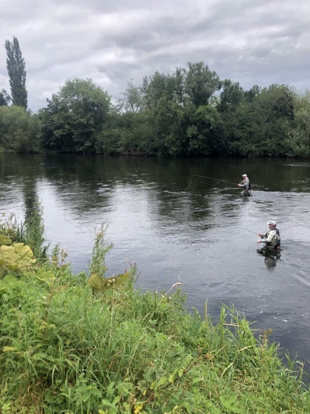 anglers working a glide at Thomastown