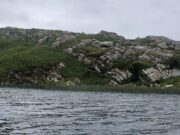 A few sea trout on Currane last week but quiet over Bank Holiday Lough Currane