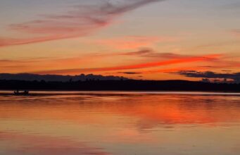 Irish Angling Update 🎣 8 September 2023