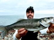 Big tides bring on the bass