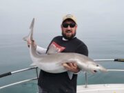 Four first tope and long awaited wreck trip for Wicklow Boat Charters