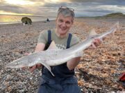 Menapia SAC go hound for hound in Wexford