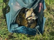 Good fishing in bad conditions for Edenderry anglers