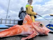 Young rods compete for All Ireland boat titles