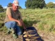 Great fishing for UK visitors at Melview Fishing Lodge