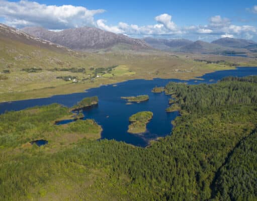 Irish Angling Update 🎣 22 September 2023