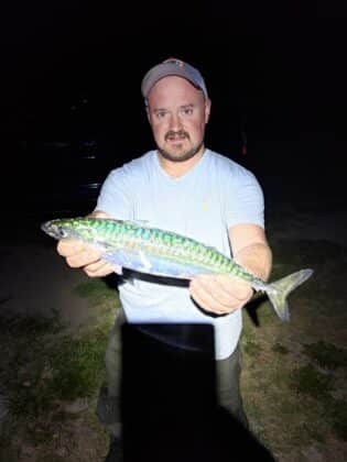Big mackerel, but it doesn't count