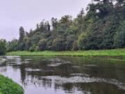 Irish Angling Update π£ 15 September 2023