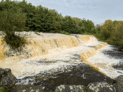 Irish Angling Update – 29 September 2023