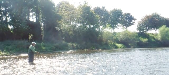 Fly-fishing the Maigue