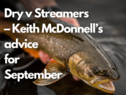 Ireland on the Fly Podcast – Dries Vs Streamers – Keith McDonnell’s advice for September + Bonus Episode