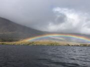 An odd grilse and trout for Currane anglers but weather mostly windy and wild Copal