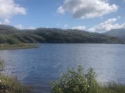 A few salmon reported from Lough Currane currane