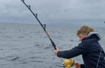 Red legged mullet catches bluefin tuna on Donegal Bay