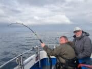 Hard fighting tope, big pollack and bluefin tuna for Ewings Sea Angling & Boat Charters