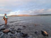 Irish Angling Update π£ 1 September 2023