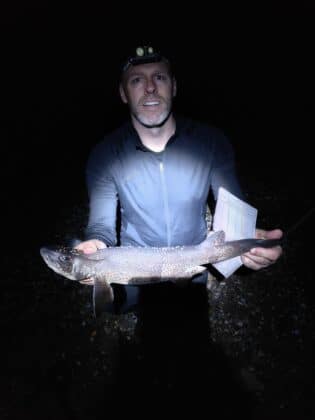 dogfish