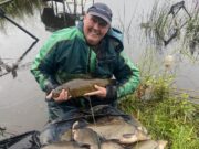 Big weights at Arvagh International and King of Clubs festivals