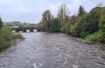 Irish Angling Update 🎣 20 October 2023 🌧️🌧️🌧️