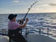 Seas alive in West Cork