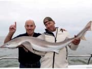 New beginnings for Wicklow Boat Charters, but old habits die hard…