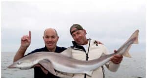 New beginnings for Wicklow Boat Charters, but old habits die hard…