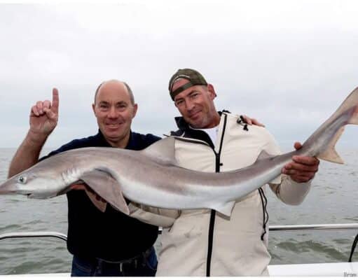 New beginnings for Wicklow Boat Charters, but old habits die hard…