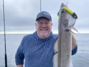 Autumn for small boat anglers – so much to do, so little time ling