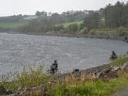 Feederfest time in County Cork!