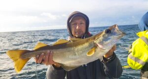 Good pollack on the feed in Galway Bay as skipper John lands the catch of a lifetime
