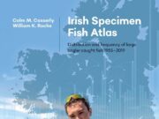 Irish Specimen Fish Atlas back on sale irish specimen fish atlas