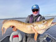 Pike up to 114cm at Pike Master Ireland 2023