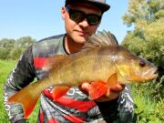 Perch Master League 2023
