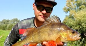 Perch Master League 2023