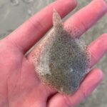 IMG-20231026-WA0002