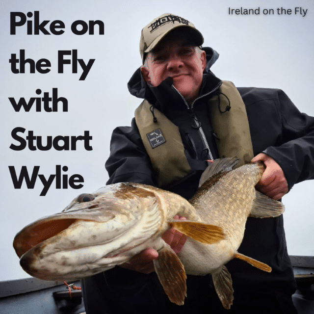 Pike on the Fly with Stuart Wylie