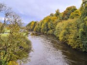 Irish Angling Update 27 October 2023