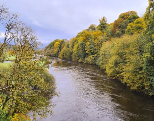 Irish Angling Update 27 October 2023