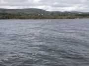End of season salmon for Currane and Inny, sea trout open to 12 October currane