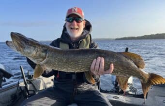 Lough Derg pike