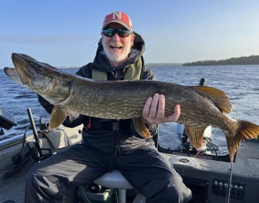 Great pike and perch fishing reported from Lough Derg Lough Derg pike