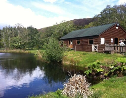 Smashing rainbows at Annamoe Annamoe fishery