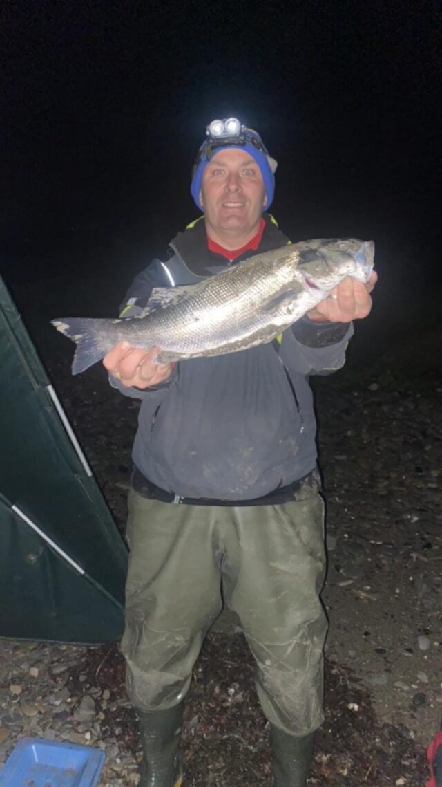 bass