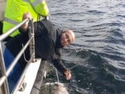 Bluefin tuna, big pollack, conger and ling for anglers aboard MV Fiona Tee