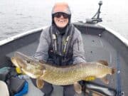 Great fly & lure action for guests of Angling Services Ireland in Boyle!