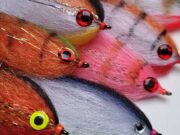 Piscari-Fly Newsletter October 24th