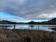 Irish Angling Update – 24 Nov 2023