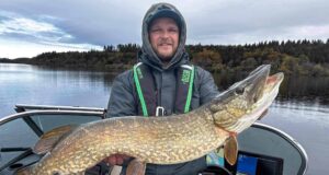Some nice pike off Gowna in Go & Catch Autumn Cup