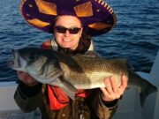 The Lure Fishing Podcast – Bass Fishing from Afloat with Pat Gahan
