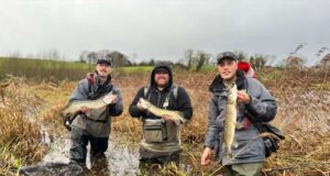 IFPAC interclub competition raises €840 for Alzheimers Society of Ireland